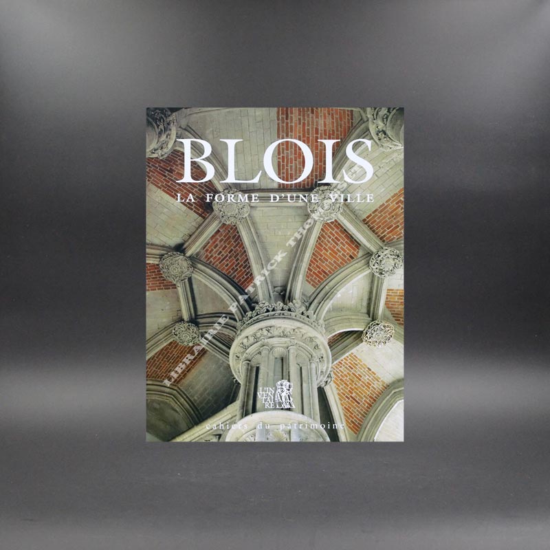 Blois la forme d'une ville par Annie Cosperec