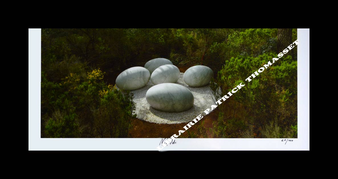 Tirage de Nils Udo représentant "la Couvée" signé par L'artiste et numéroté