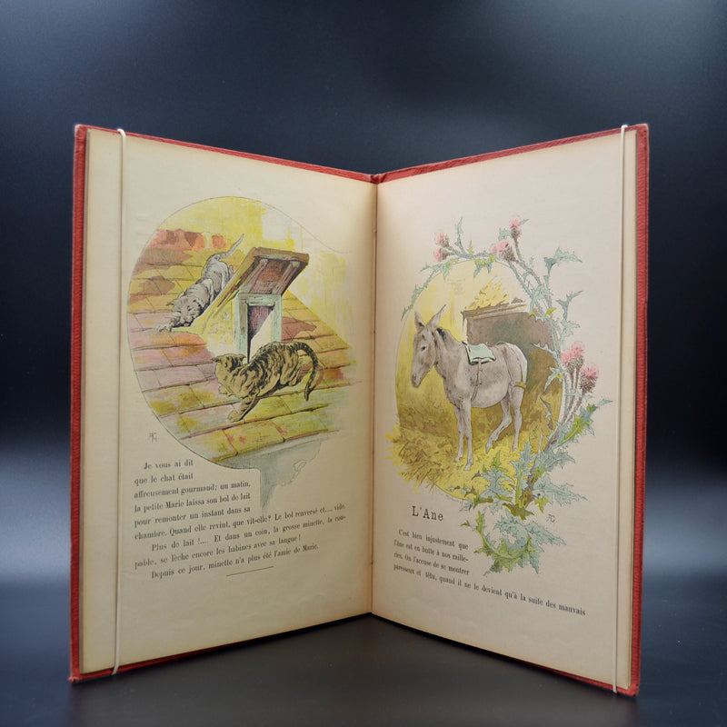 Le dormeur éveillé, les animaux domestiques  enfantina