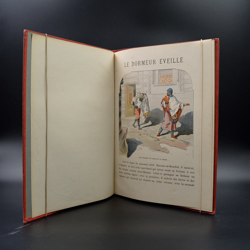 Le dormeur éveillé, les animaux domestiques  enfantina