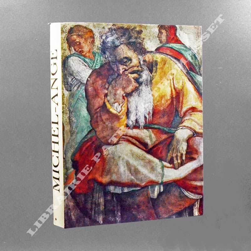 Michel-Ange. L'Artiste - Sa pensée - L'Ecrivain par Mario Salmi