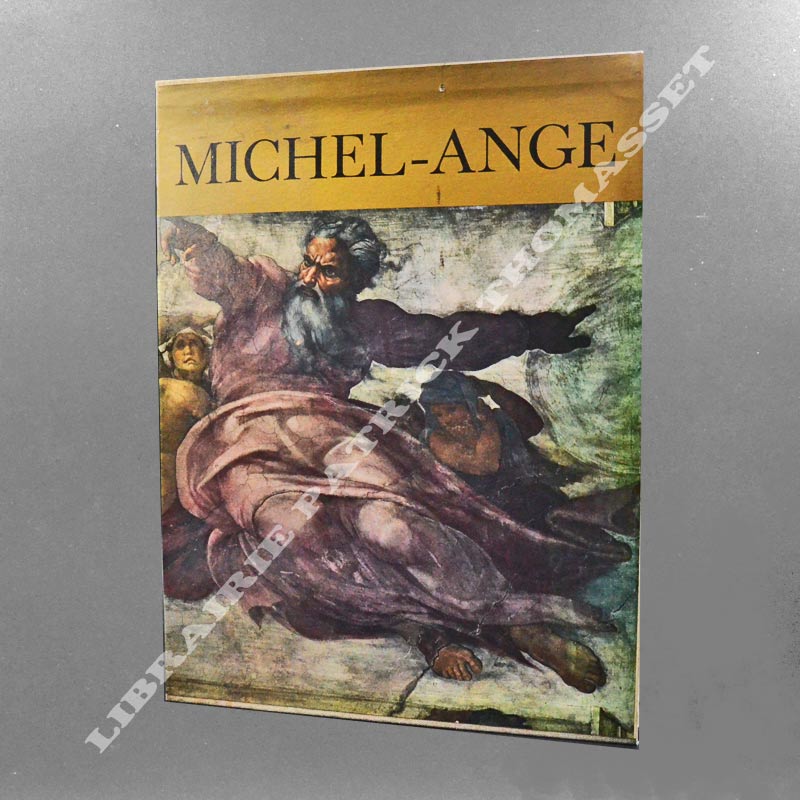 Michel-Ange. L'Artiste - Sa pensée - L'Ecrivain par Mario Salmi