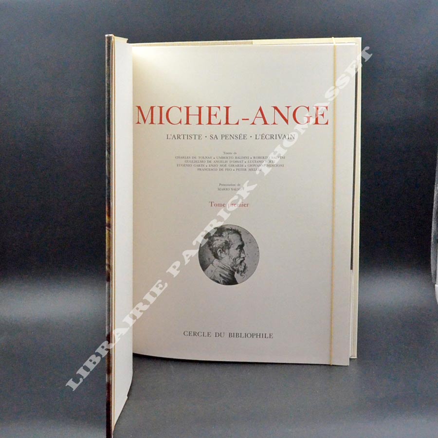 Michel-Ange. L'Artiste - Sa pensée - L'Ecrivain par Mario Salmi