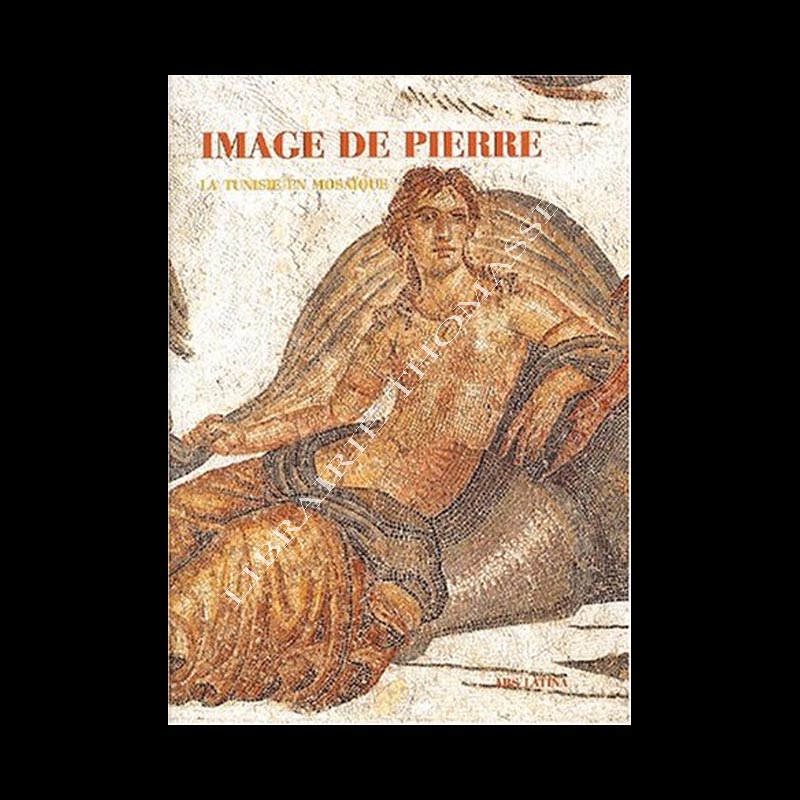 Image de pierre, la Tunisie en mosaïque