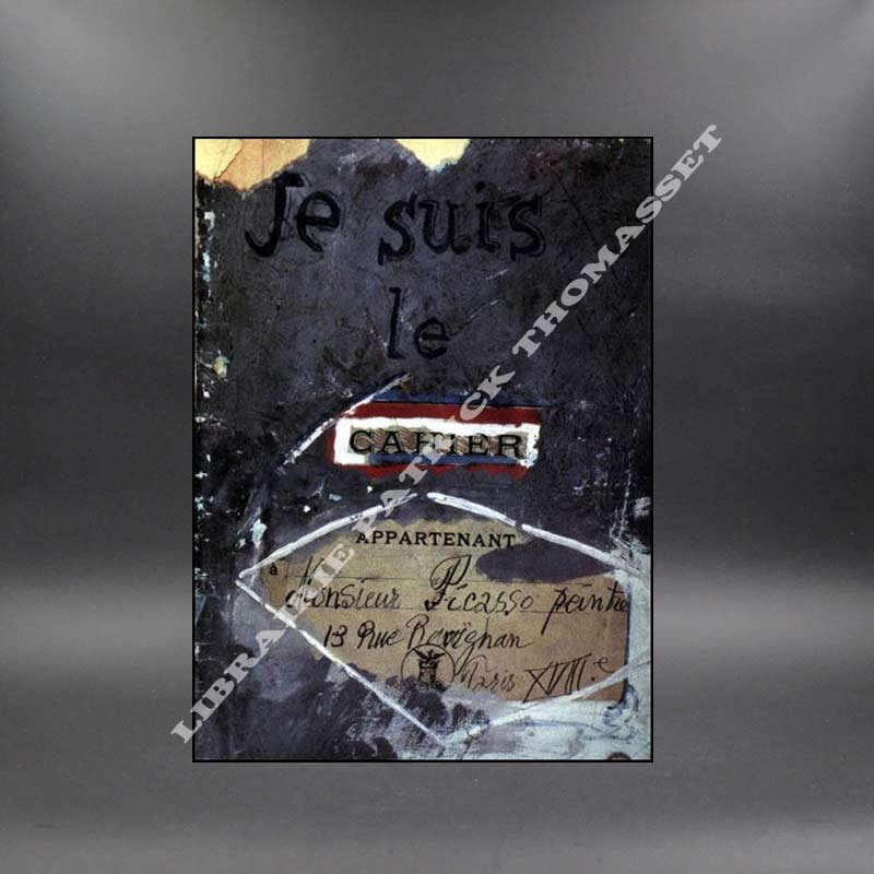 "Je suis le cahier" Les carnets de Picasso