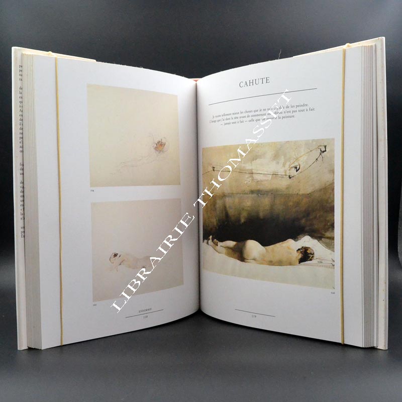 La suite Helga Andrew Wyeth textes par Plazy Gilles & Wilmerding John