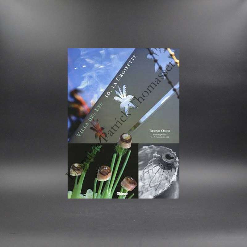 Villa des Lys, la Croisette par Bruno Oger et Vincent Pierre Angouillant