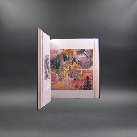 Bonnard du dessin au tableau par Michel terrasse