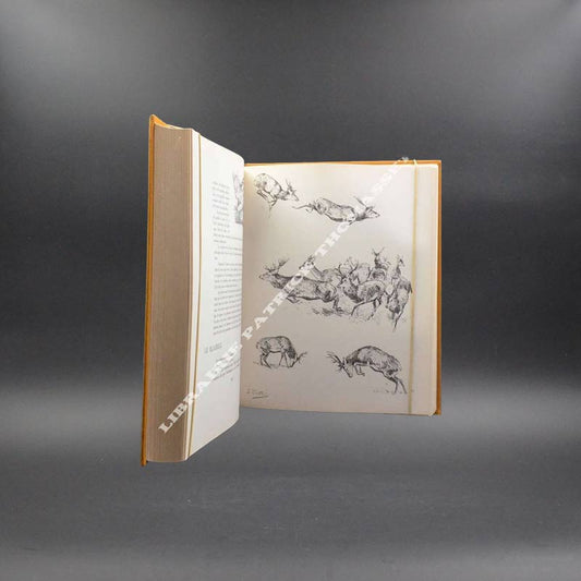 Les Chiens D'Arret 1971 Oberthur, J Les Chiens D'Arret 1971 Oberthur, J