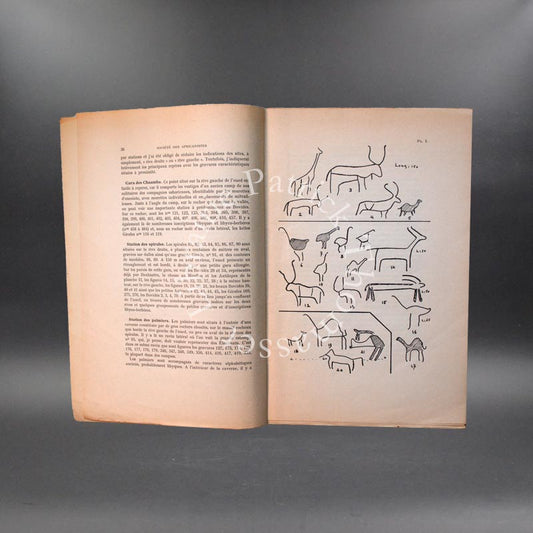 Gravures rupestres d'Aguennar (Ahaggar) H. Lhote