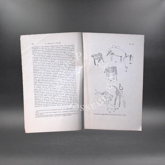 Gravures rupestres de l'Aïr par H. Lhote & P. Huard