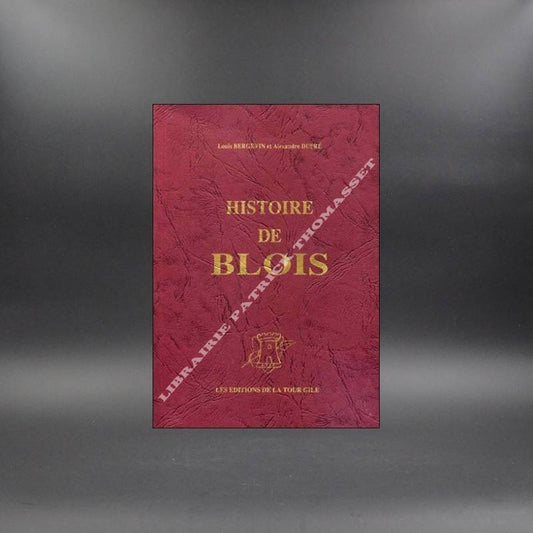 Histoire de Blois par Bergevin et Dupré Tome 2 reprint