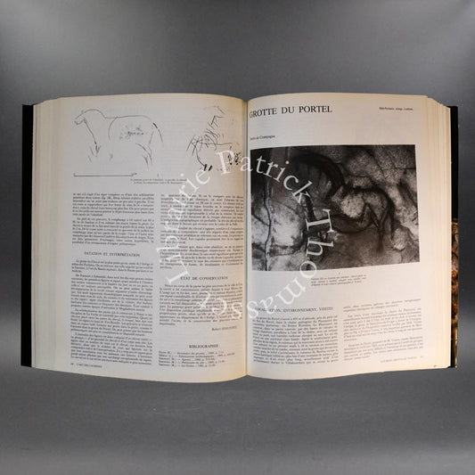 L'art des cavernes par A. Leroi-Gourhan. Atlas des grottes ornées paléolithiques françaises.