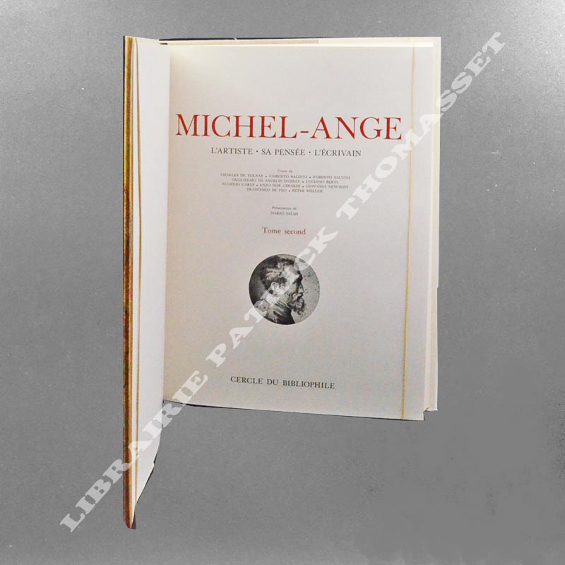 Michel-Ange. L'Artiste - Sa pensée - L'Ecrivain par Mario Salmi