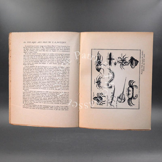 Voyages aux isles de l'Amérique (antilles) 1693-1705 R.P. Labat 2 volumes complet