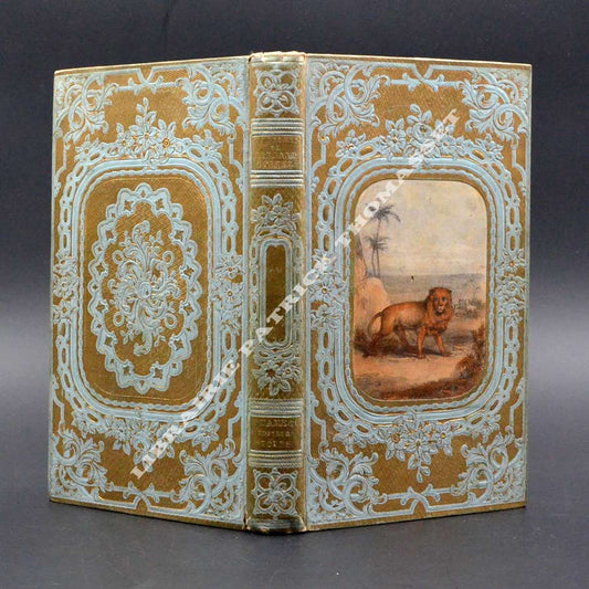 Aventures et conquêtes de Fernand Cortez au Mexique cartonnage romantique