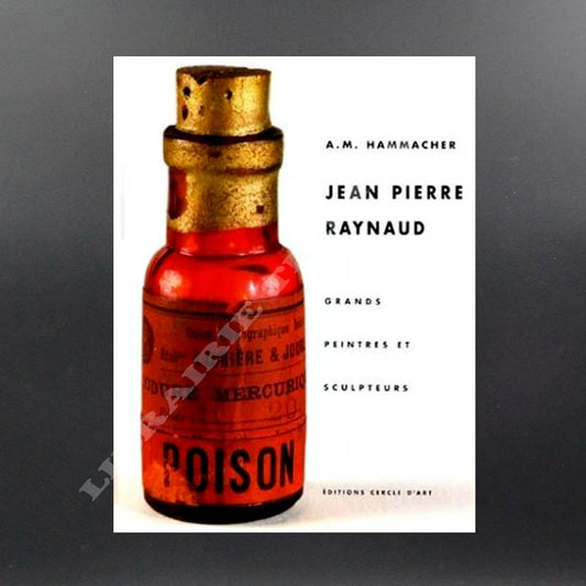 Jean Pierre Raynaud par A. M. Hammacher